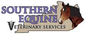 Southern Equine Veterinary Services
